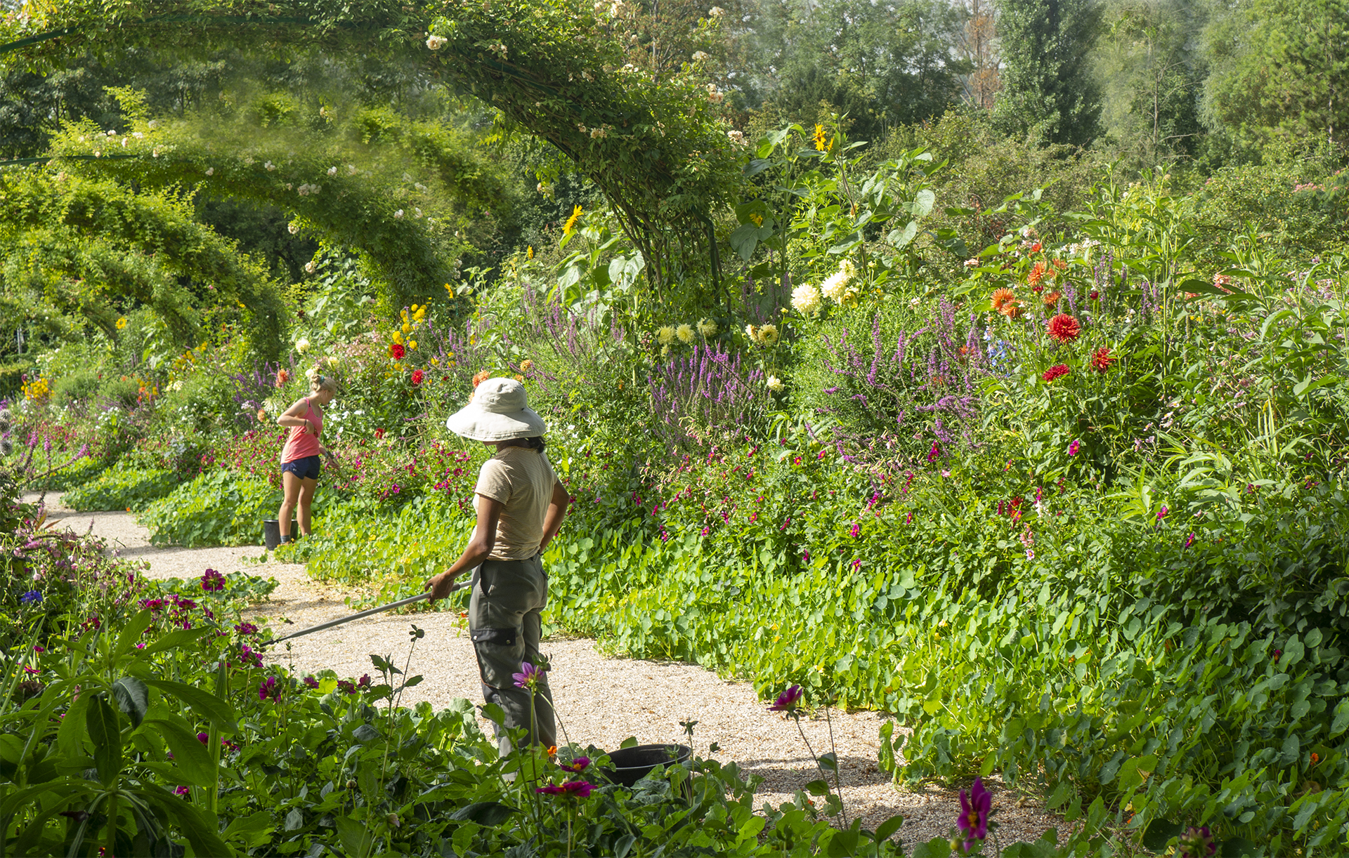Experience Monet's garden as a gardener